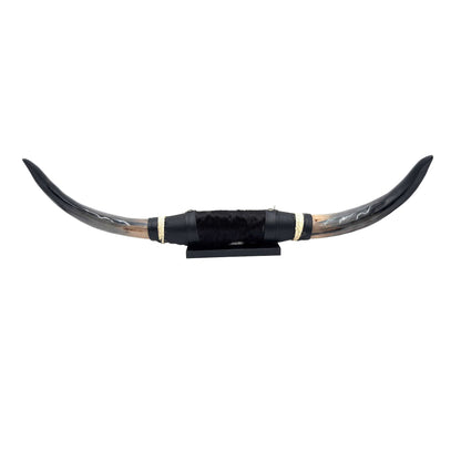 Mounted Polished Cow Horn 3ft - Rustic Elegance & Western Charm