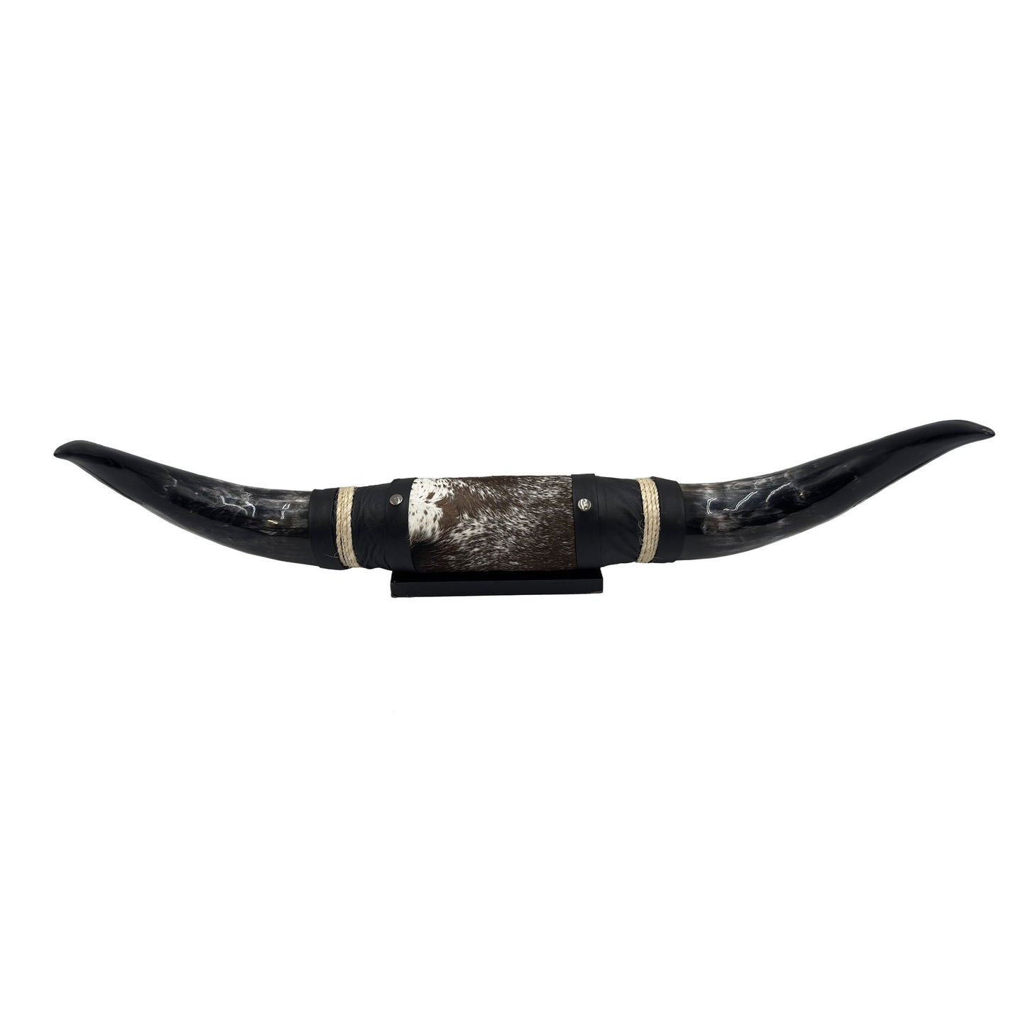 Mounted Polished Cow Horn 3ft - Rustic Elegance & Western Charm