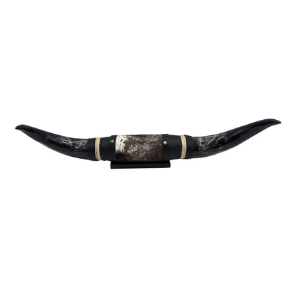 Mounted Polished Cow Horn 3ft - Rustic Elegance & Western Charm