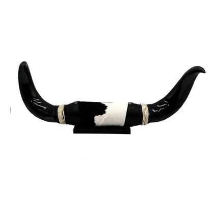 Mounted Polished Cow Horn 3ft - Rustic Elegance & Western Charm