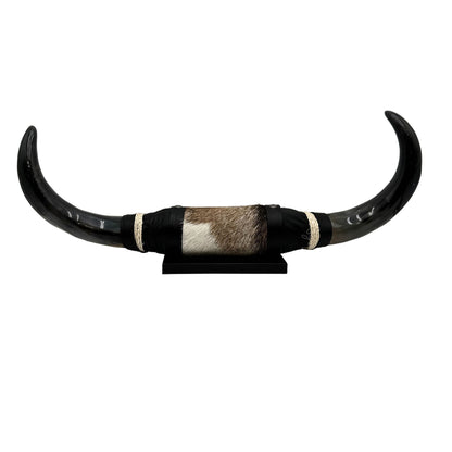 Mounted Polished Cow Horn 3ft - Rustic Elegance & Western Charm