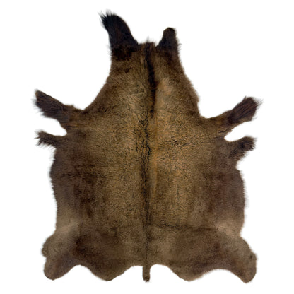 Premium Natural Bison Hair-On Hide Rug - First Grade American