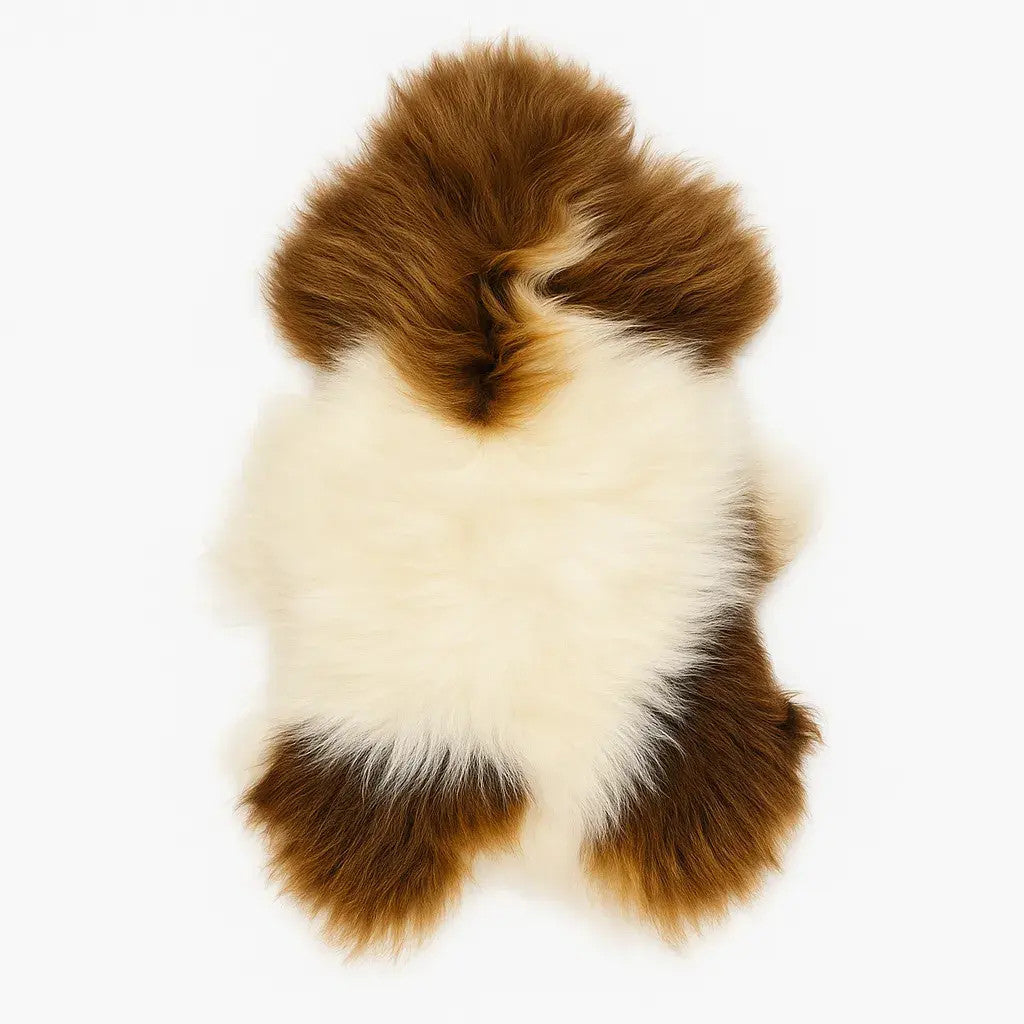 Norwegian Viking Heritage Sheepskin Throw | Spotted Brown & White Long Wool – 4' x 2.5' Feet