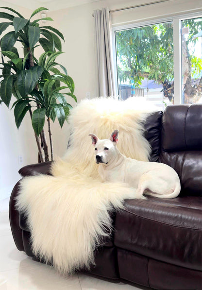 Norwegian Sheepskin | Pure White Double XL Viking Heritage - 7' x 2.5'