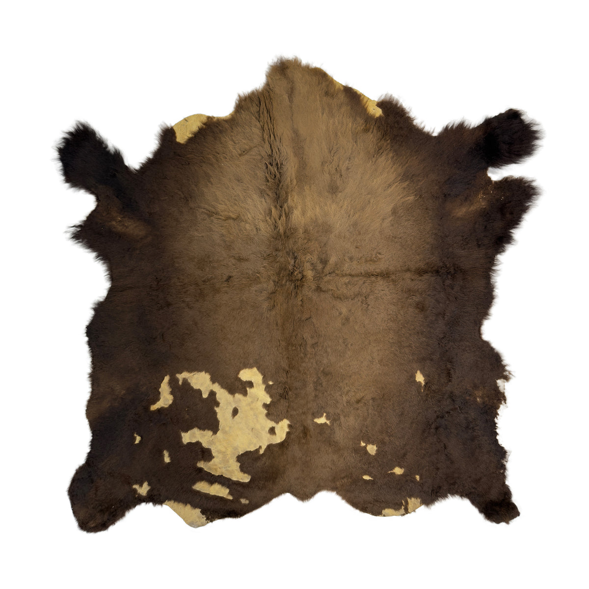 Bison Hide Rug | Buffalo Hair-On – Large