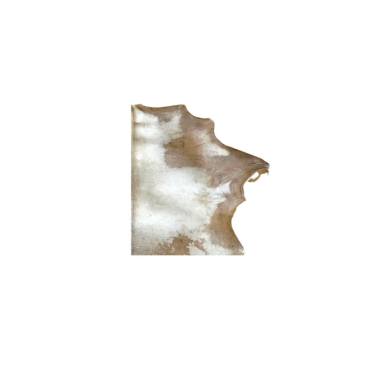 Natural Goat Rawhide | Untanned Premium Hide - Colombian M to 3XL