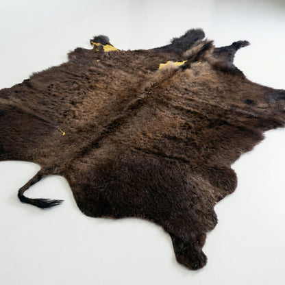 Bison Hide Rug | Second-Grade – Large Hair-On
