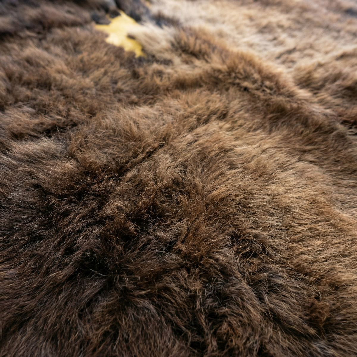 Bison Hide Rug | Second-Grade – Large Hair-On