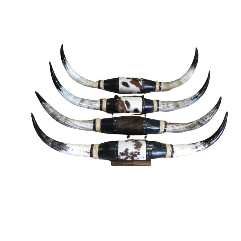 Mounted Polished Cow Horn | Display-Ready Wall Accent - 3.5 or 5 ft