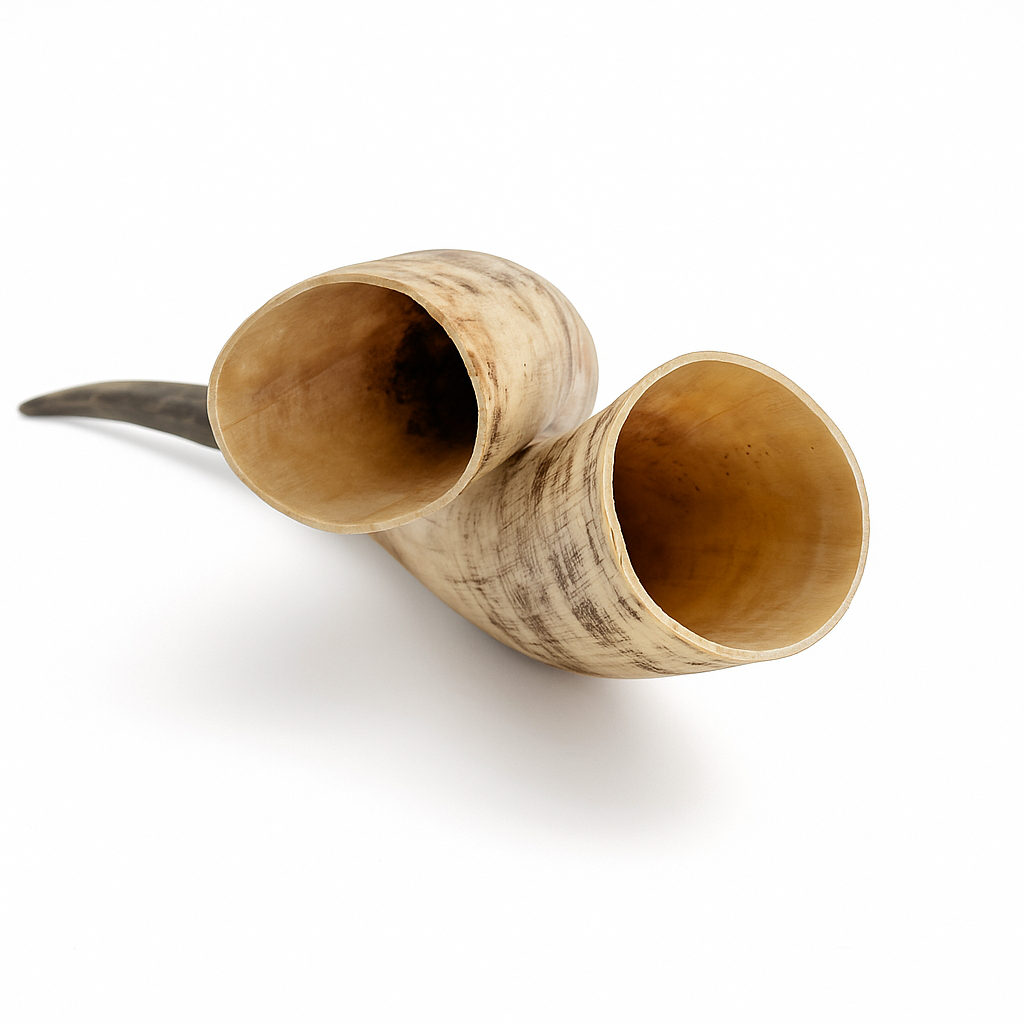 Natural Unpolished Longhorn | Raw Display Horn - 24 to 30 Inches