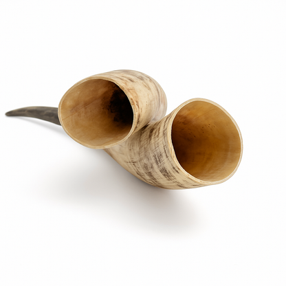 Natural Unpolished Longhorn | Raw Display Horn - 24 to 30 Inches