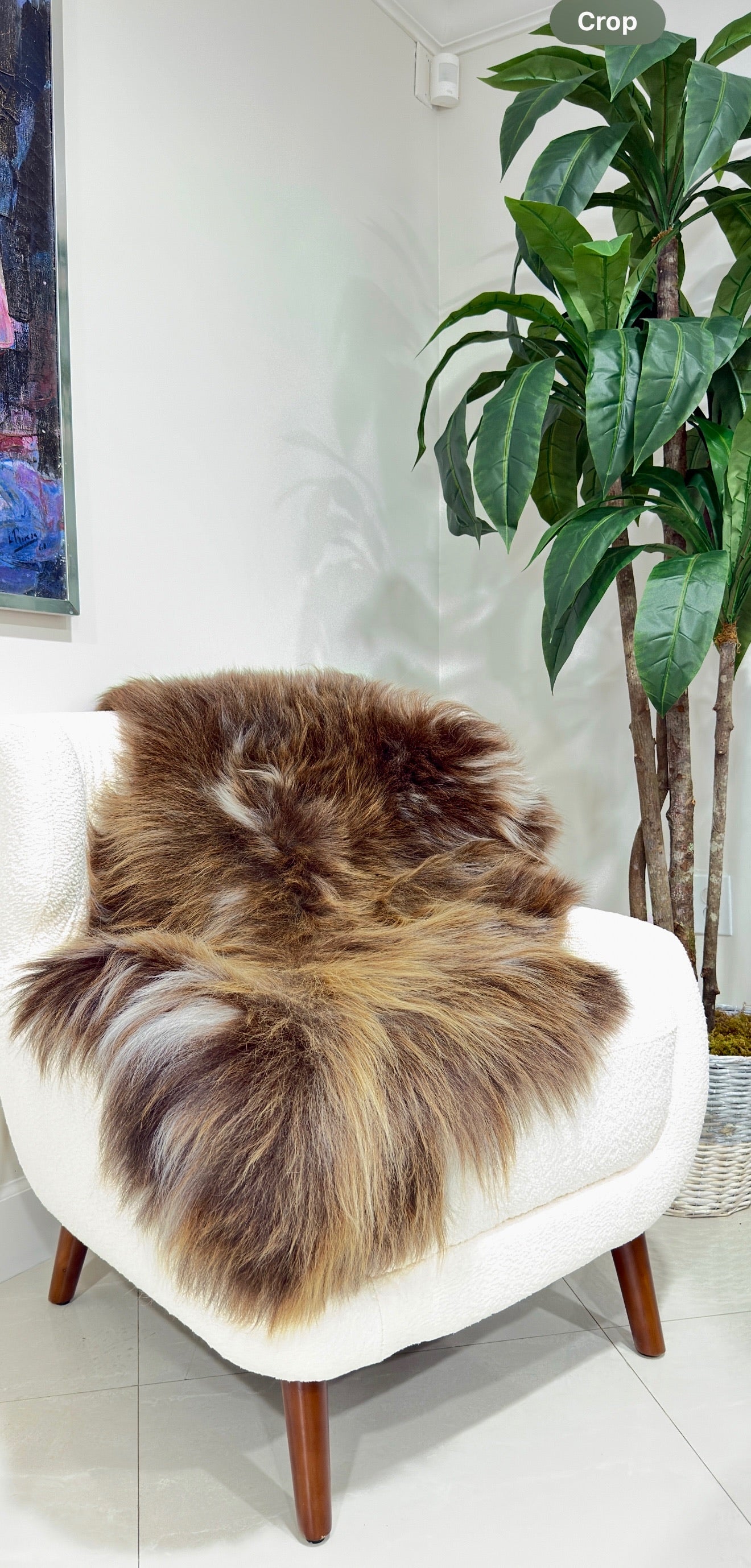 Norwegian Sheepskin Throw | Solid Brown Long-Hair Viking Heritage - 4' x 2.5'