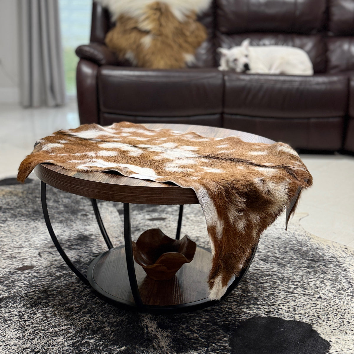 Axis Deer Hide Rug | First Grade – American Hair-On 4’x2.5