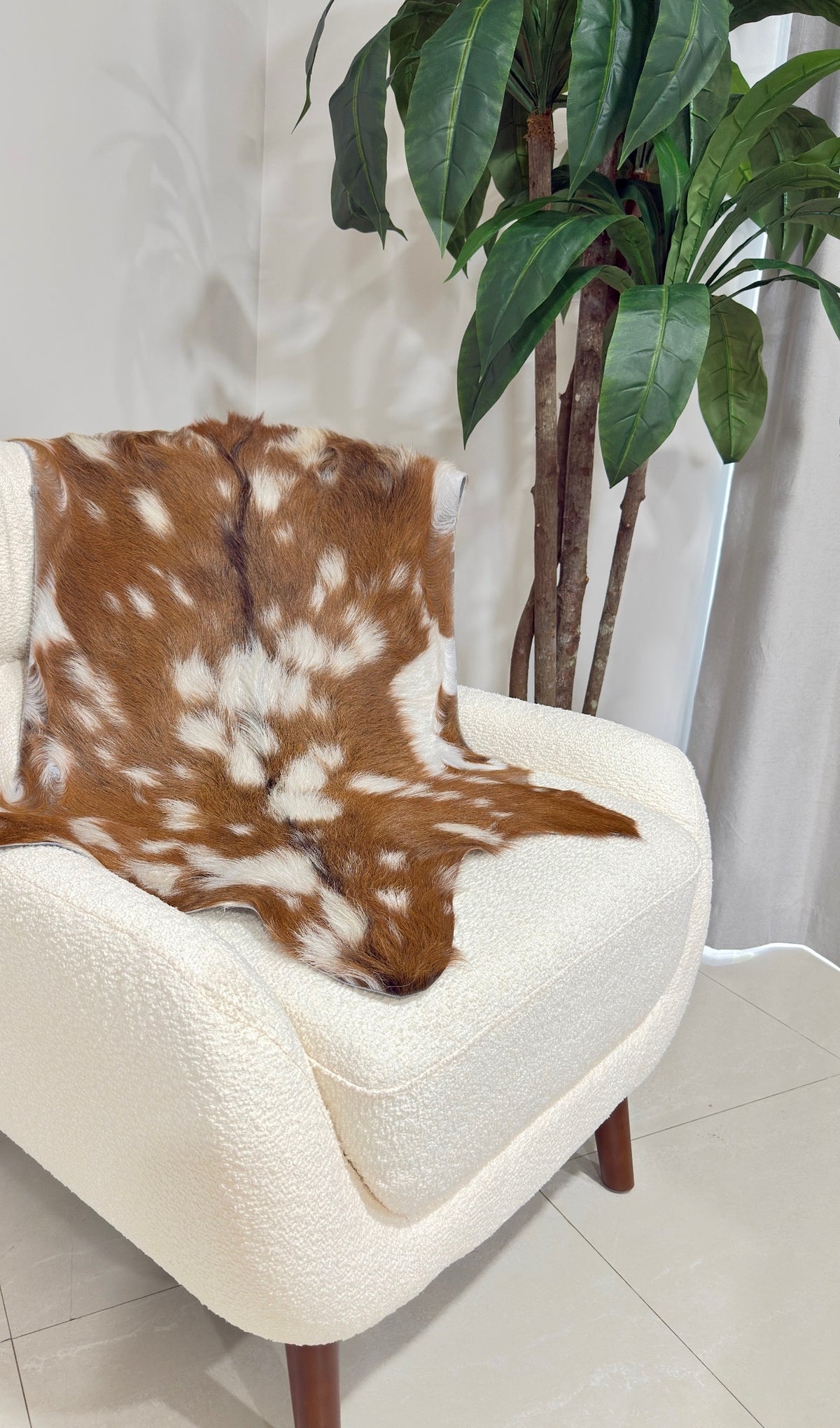 Axis Deer Hide Rug | First Grade – American Hair-On 4’x2.5