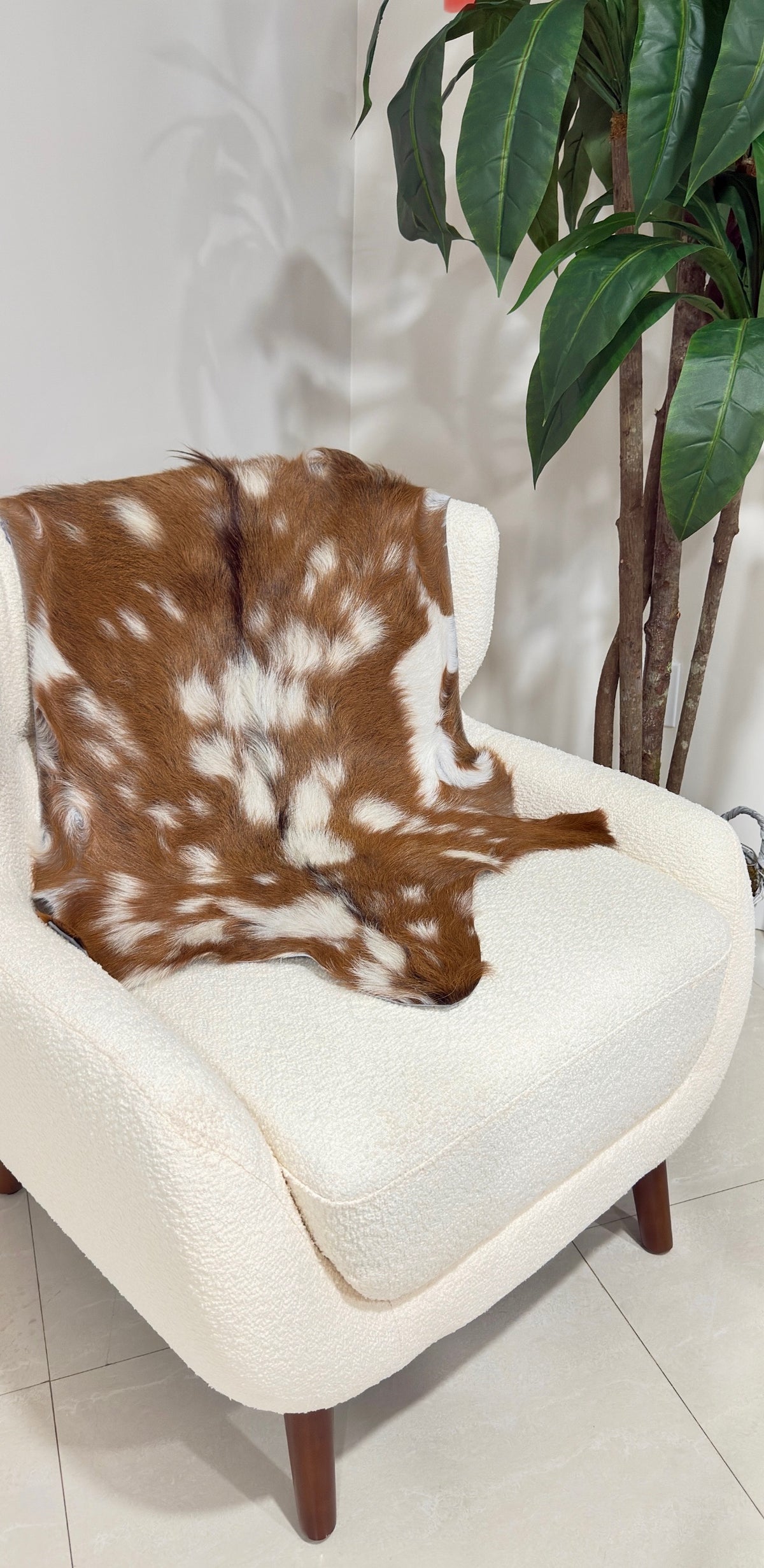 Axis Deer Hide Rug | First Grade – American Hair-On 4’x2.5