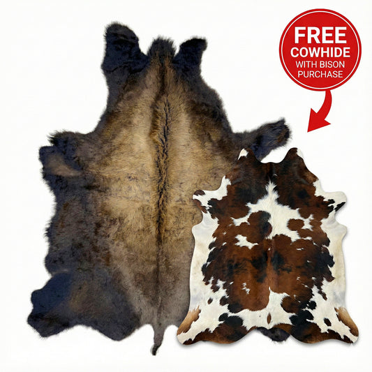 Buffalo/Bison Hair-On Hide Rug Extra Large | Signature First-Grade with Bonus Tricolor Cowhide Rug Medium