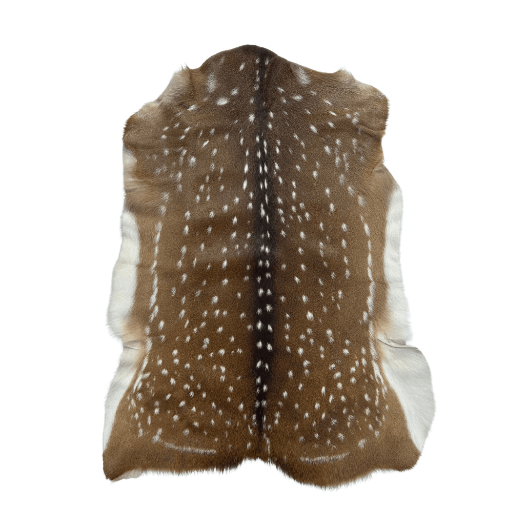 Axis Deer Hide Rug | First Grade – American Hair-On 4’x2.5