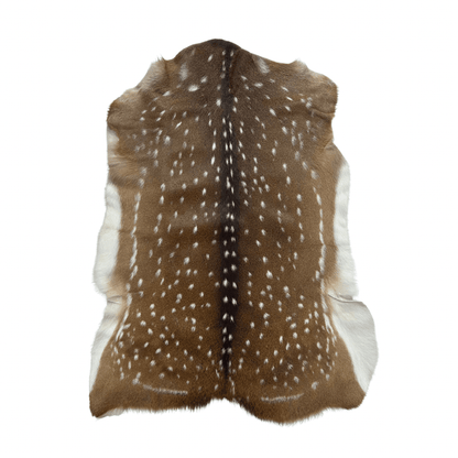 Axis Deer Hide Rug | First Grade – American Hair-On 4’x2.5
