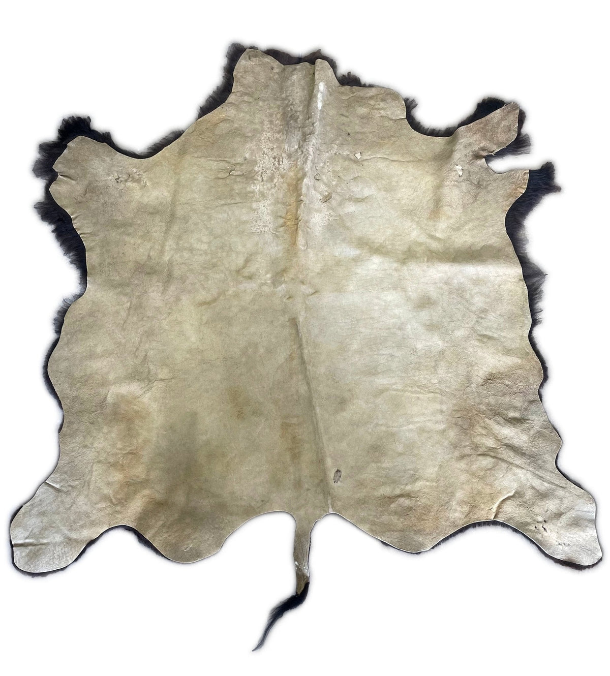 Bison Hide Rug | Buffalo Hair-On – Large