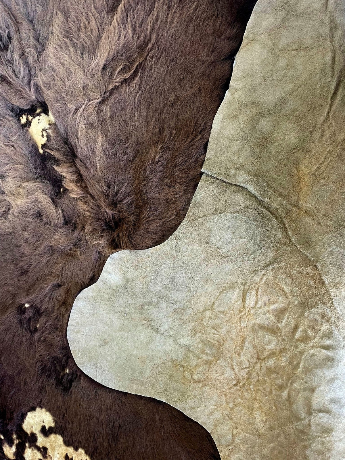 Bison Hide Rug | Buffalo Hair-On – Large