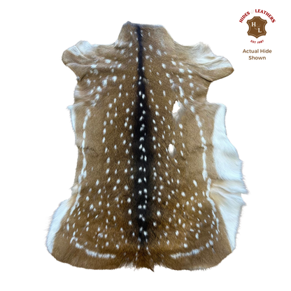 Axis Deer Hide Rug | First Grade – American Hair-On 4’x2.5