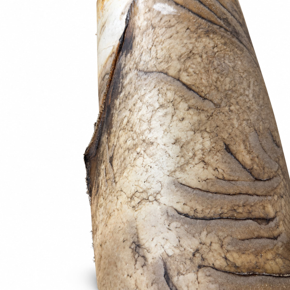 Elk Rawhide | Natural Drum Making Hide – Colombian, Approximately 6 lb — additional view
