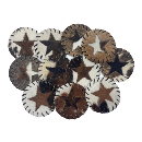 Cowhide Hair-On Coasters | Star Pattern – 4" Round