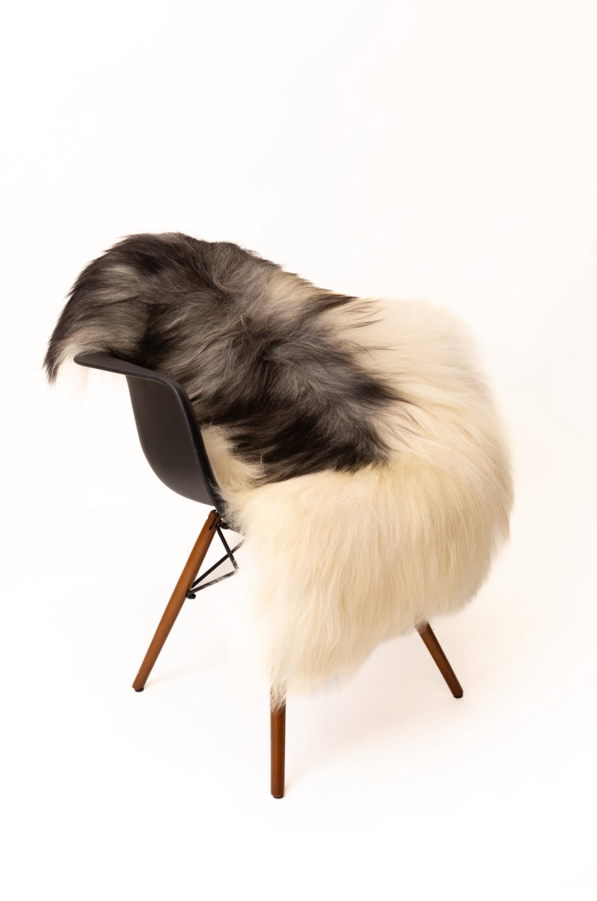 Norwegian Sheepskin | Spotted Black & White Viking Heritage