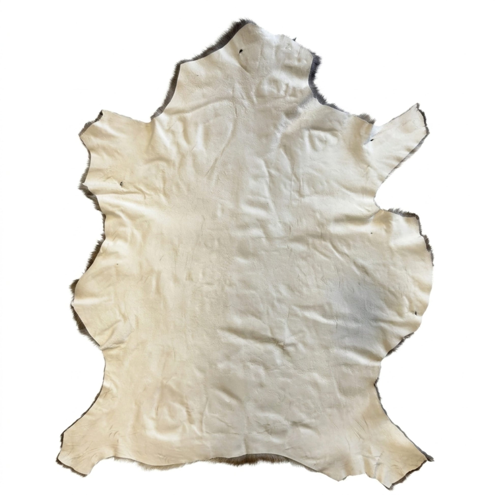 Elk Hide Rug | Icelandic Hair-On – Natural 4.5 x 3.5 Ft — additional product photo